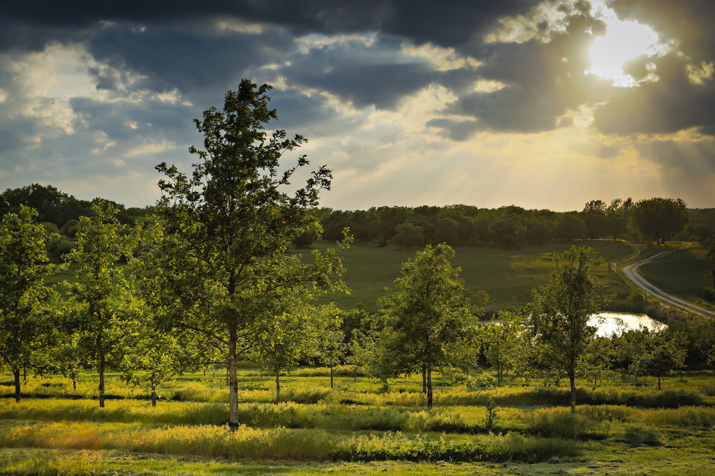 Sunset over the farm