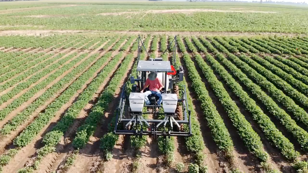 More Missouri Farmers Growing Peanuts Missouri Agricultural More Missouri Farmers Growing Peanuts Missouri Agricultural