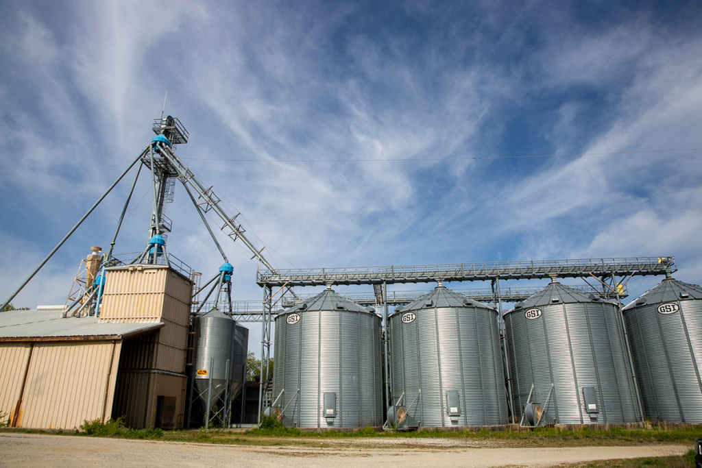 Large feed mill grain bins